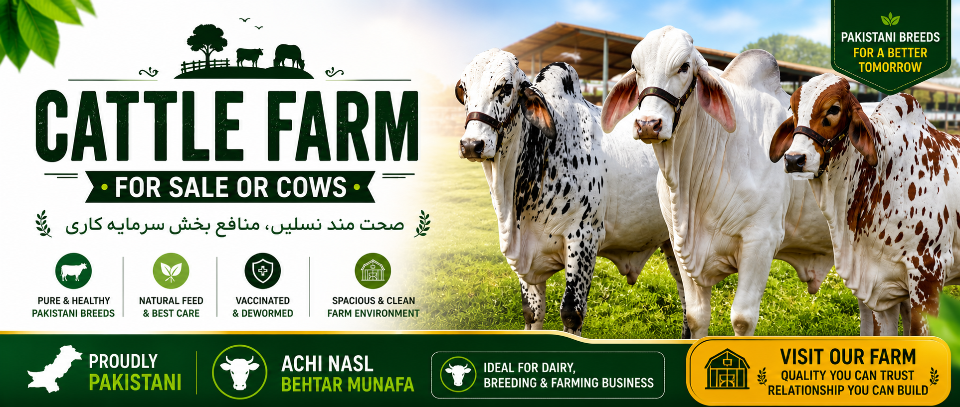 Cattler Farm Promo Banner